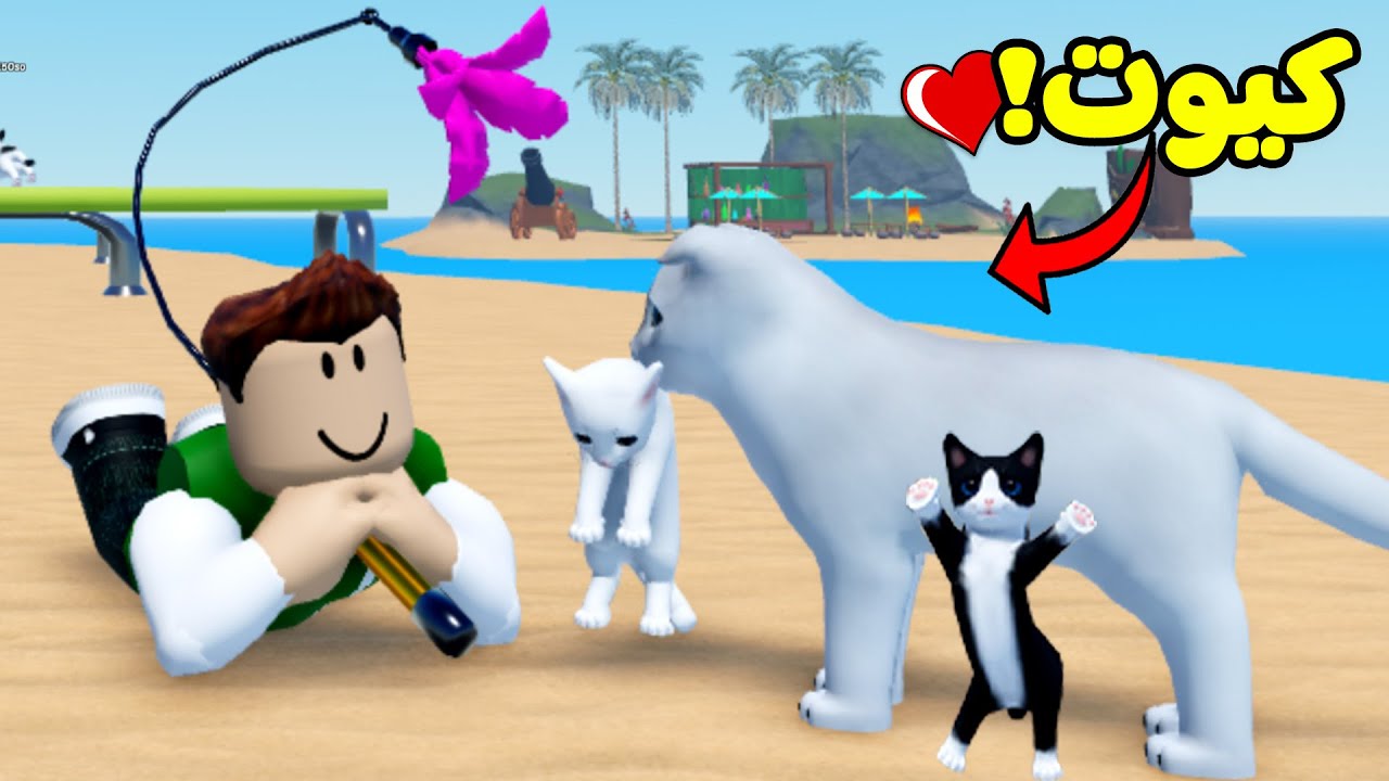 حياة القطط لعبة Roblox !! 😻🐈