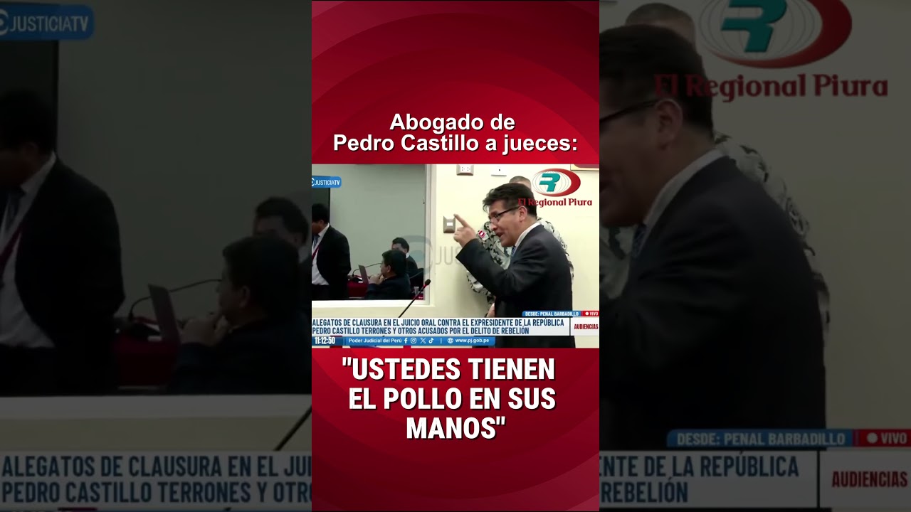 Hilarante metáfora utiliza defensor de Pedro Castillo en alegatos
