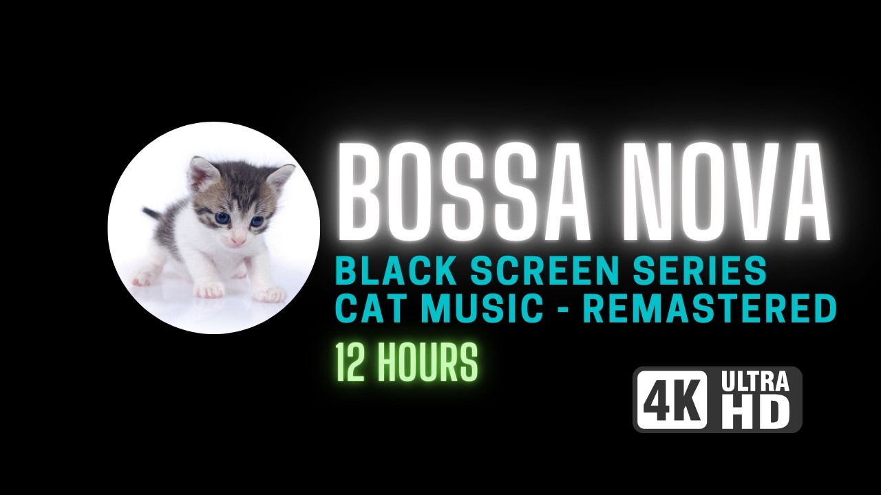 Black Screen Calm for Cats | Bossa Nova Ambience