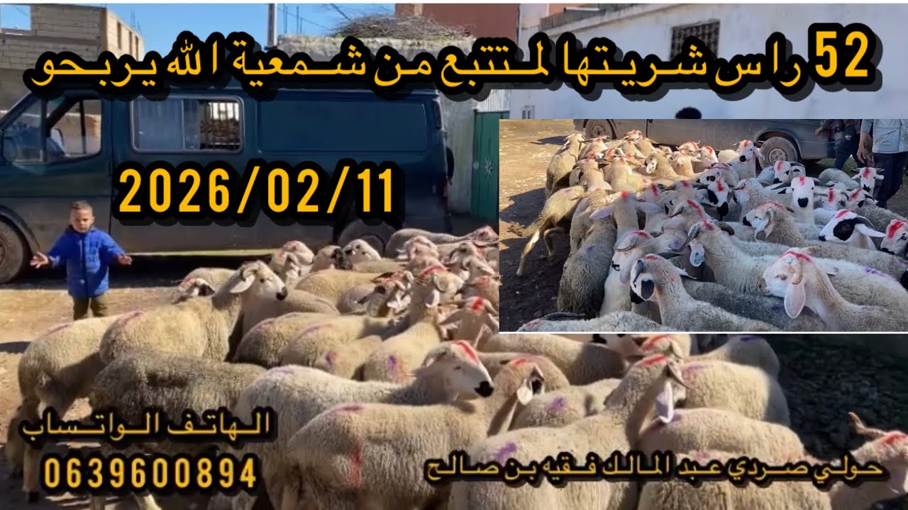 ١١ فبراير ٢٠٢٦