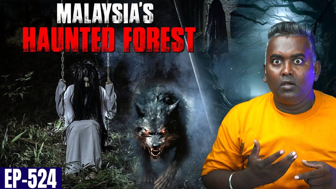Forest Camping செய்தால் இந்த மாதிரி அமானுஷ்ய பிரச்சனை வருமா? | திகில் பறக்கும் சம்பவம் | Varadharaja