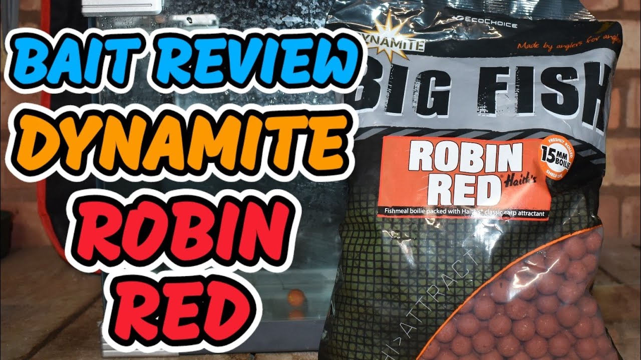 IT SMELLS SO SPICY! 🔥 DYNAMITE ROBIN RED | TOMMYS BAIT TESTING | CARP FISHING 2024