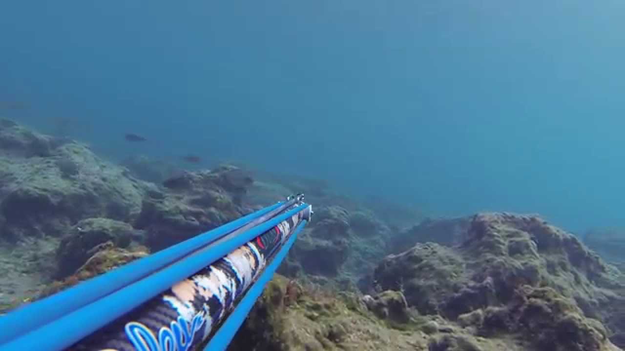 Bleutec lycan roller 80 vs dentex 6,850