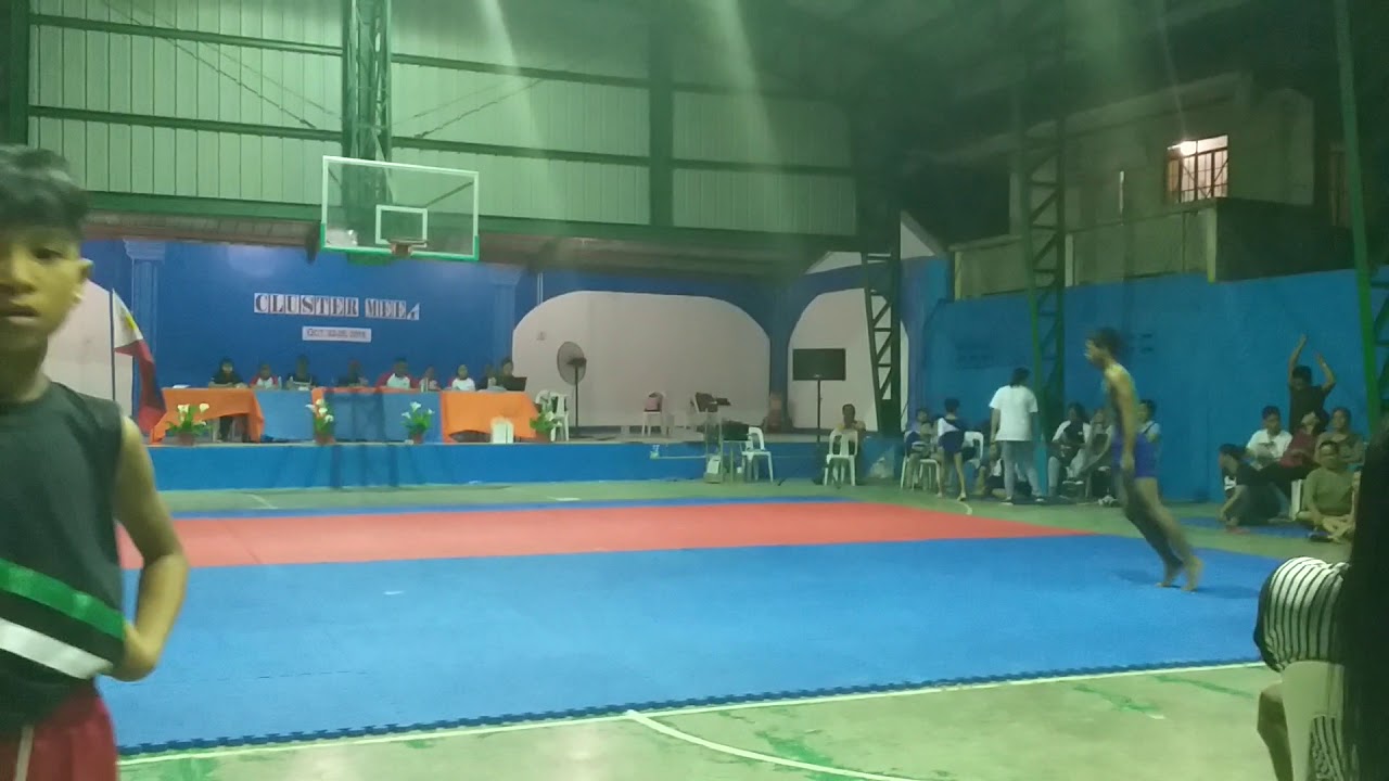 Cluster3 mens artistics gymnastic