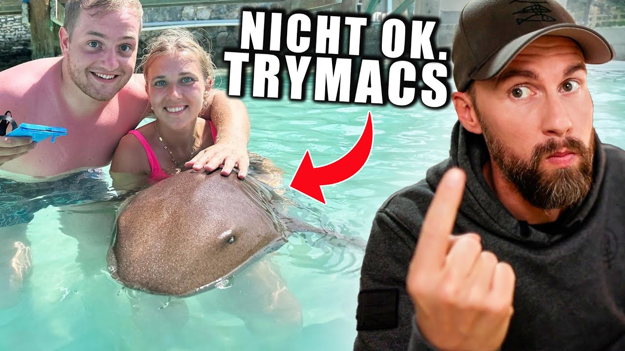 Streamer gefährdet Gesundheit der HAIE | Robert Marc Lehmann reagiert