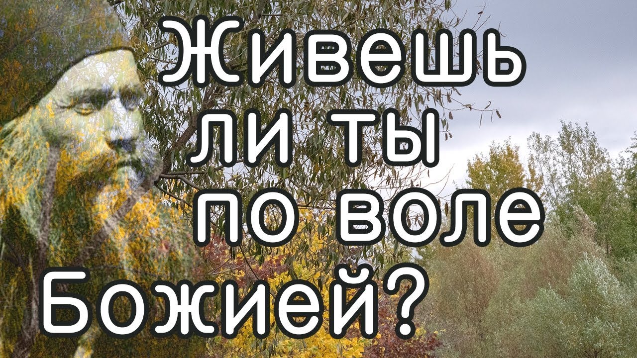 Как узнать, живешь ли ты по воле Божией? - Силуан Афонский