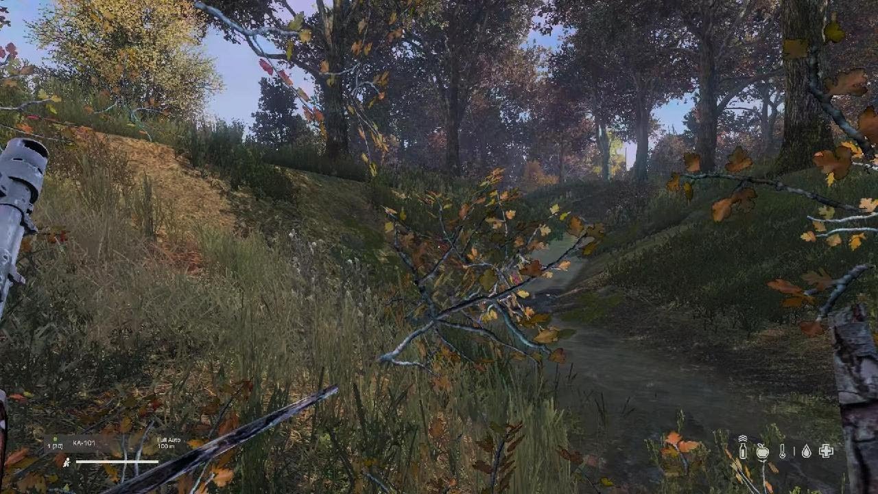 DayZ_20260221080828