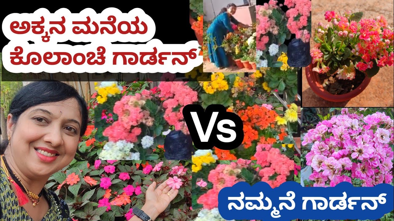 ಏನೆಲ್ಲಾ ಹಾಕಿ ಬೆಳೆಸ್ತಾರೆ? |ಅಕ್ಕನ ಮನೆಯ ಅದ್ಭುತ ಕೊಲಾಂಚೆ ಗಾರ್ಡನ್ 🌷| Kolanche Garden 🏵️| Kalanchoe Flowes|