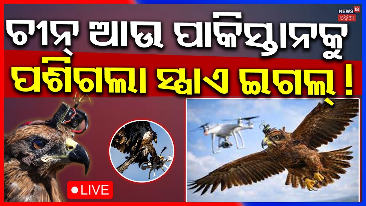 Live: ଚୀନ୍‌ ଆଉ ପାକିସ୍ତାନକୁ ପଶିଗଲା ସ୍ପାଏ ଇଗଲ୍‌ ! India’s Silent Warriors: Karna & Arjun | Spy Eagle