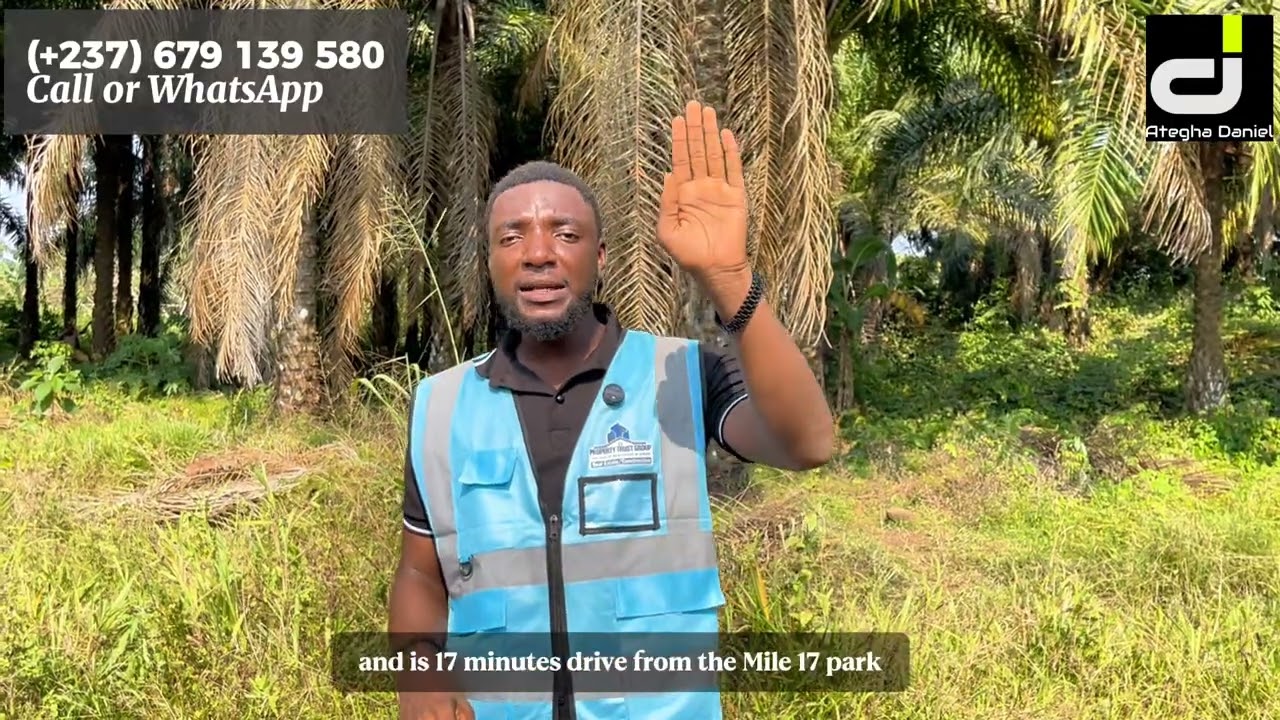 2M XAF Land for Sale in Buea Cameroon || Land Banking and Genuine Investment in Cameroon 