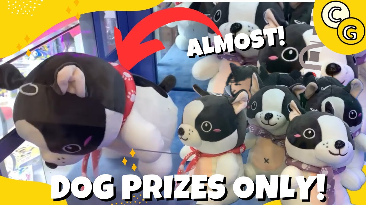 DOG PRIZES CLAW MACHINE CHALLENGE! | Claw Gamer