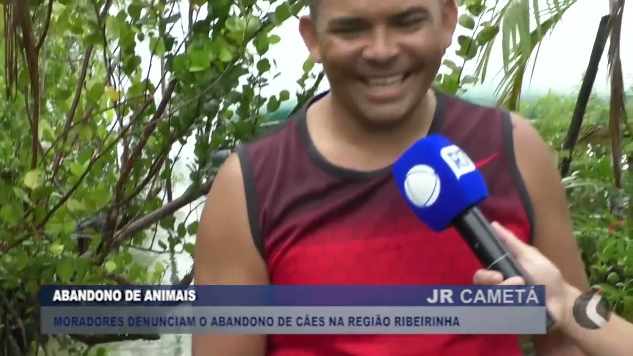 MORADORES DA A REGIÃO RIBEIRINHA DE CAMETÁ, DENUNCIAM O ABANDONO DE ANIMAIS.