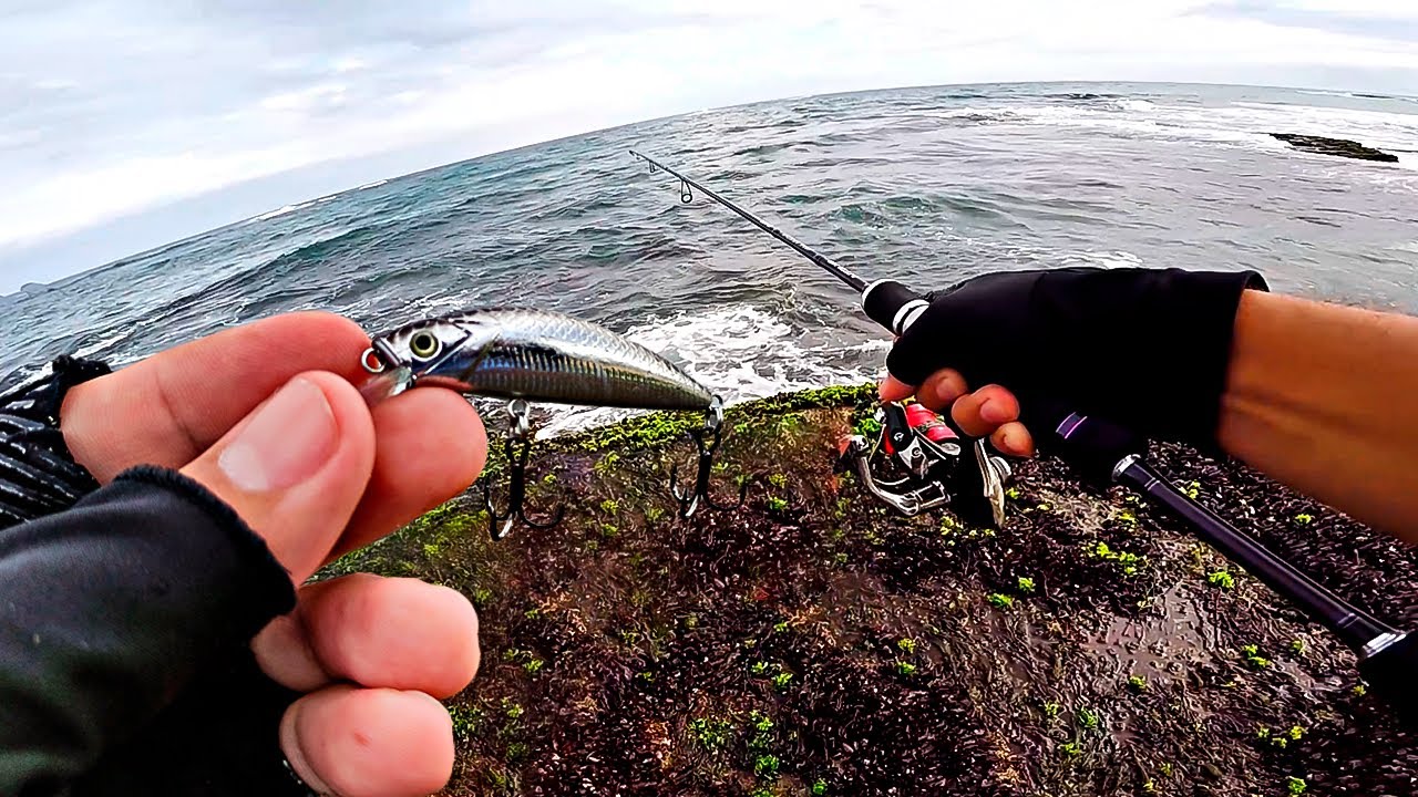 NO MAR ESSA MICRO ISCA SEMPRE SE DESTACA! Pescaria Ultralight