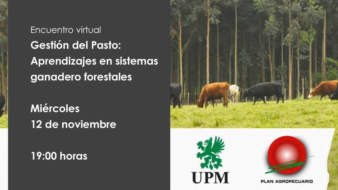 Encuentro virtual "Gestión del Pasto - Aprendizajes en sistemas ganadero forestales"
