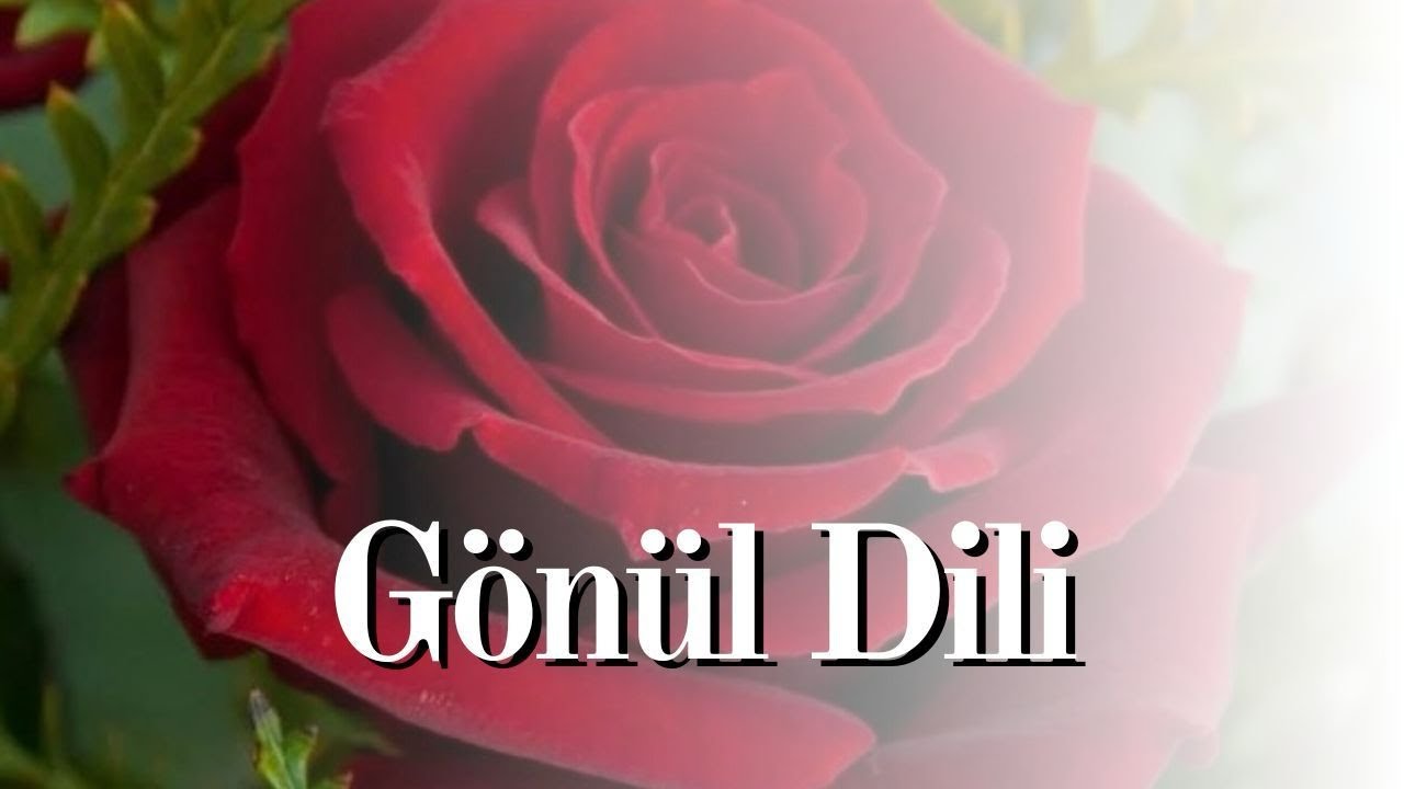 GÖNÜL DİLİ 1- ÜSTAD HAZRETLERİNİN DERDİNİ TEŞHİS EDEN DOKTORA CEVABI