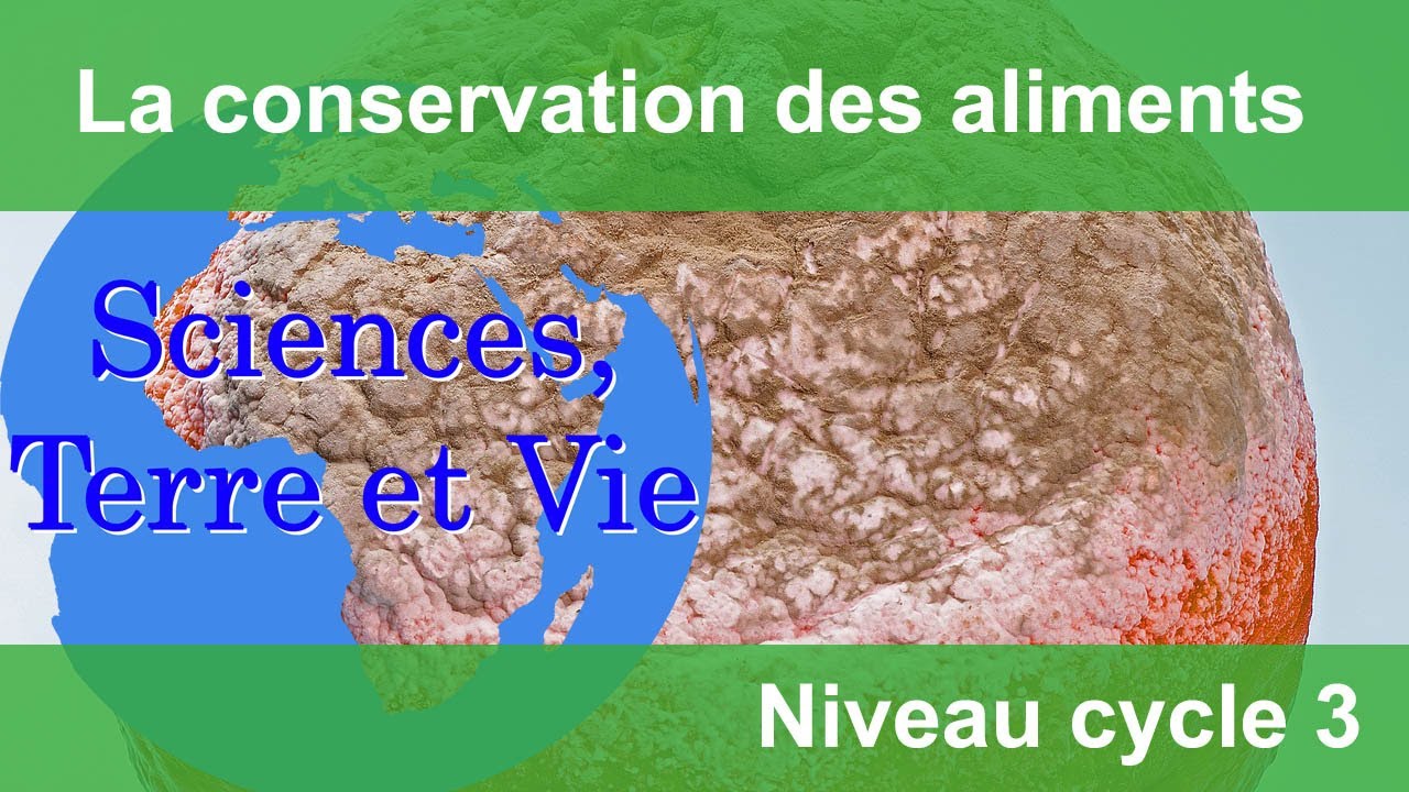La conservation des aliments
