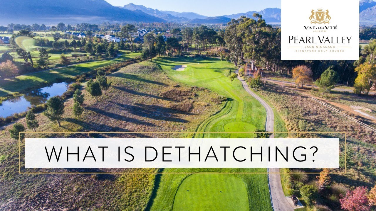 The importance of dethatching | Pearl Valley Jack Nicklaus Signature golf course