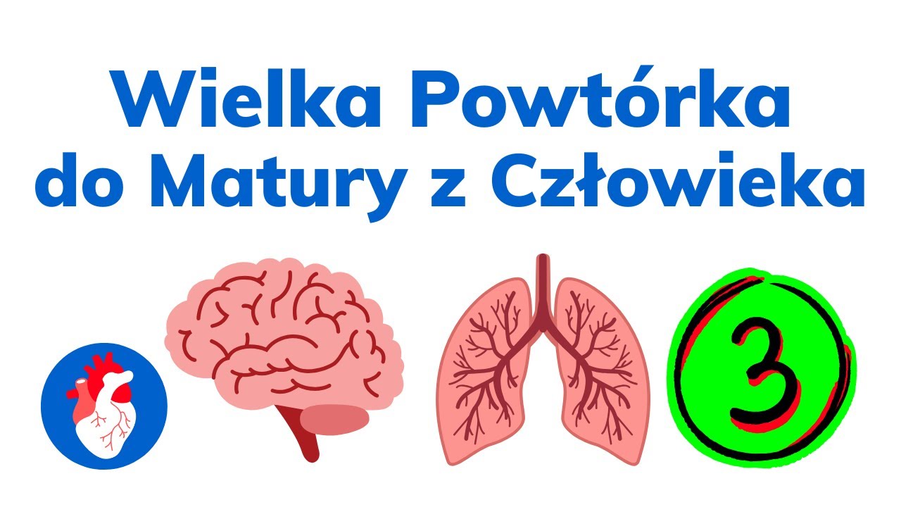 TO WYSTARCZY ABY ZDAĆ DOBRZE #3 - Matura z Biologii CZŁOWIEK Podstawa Programowa 2026