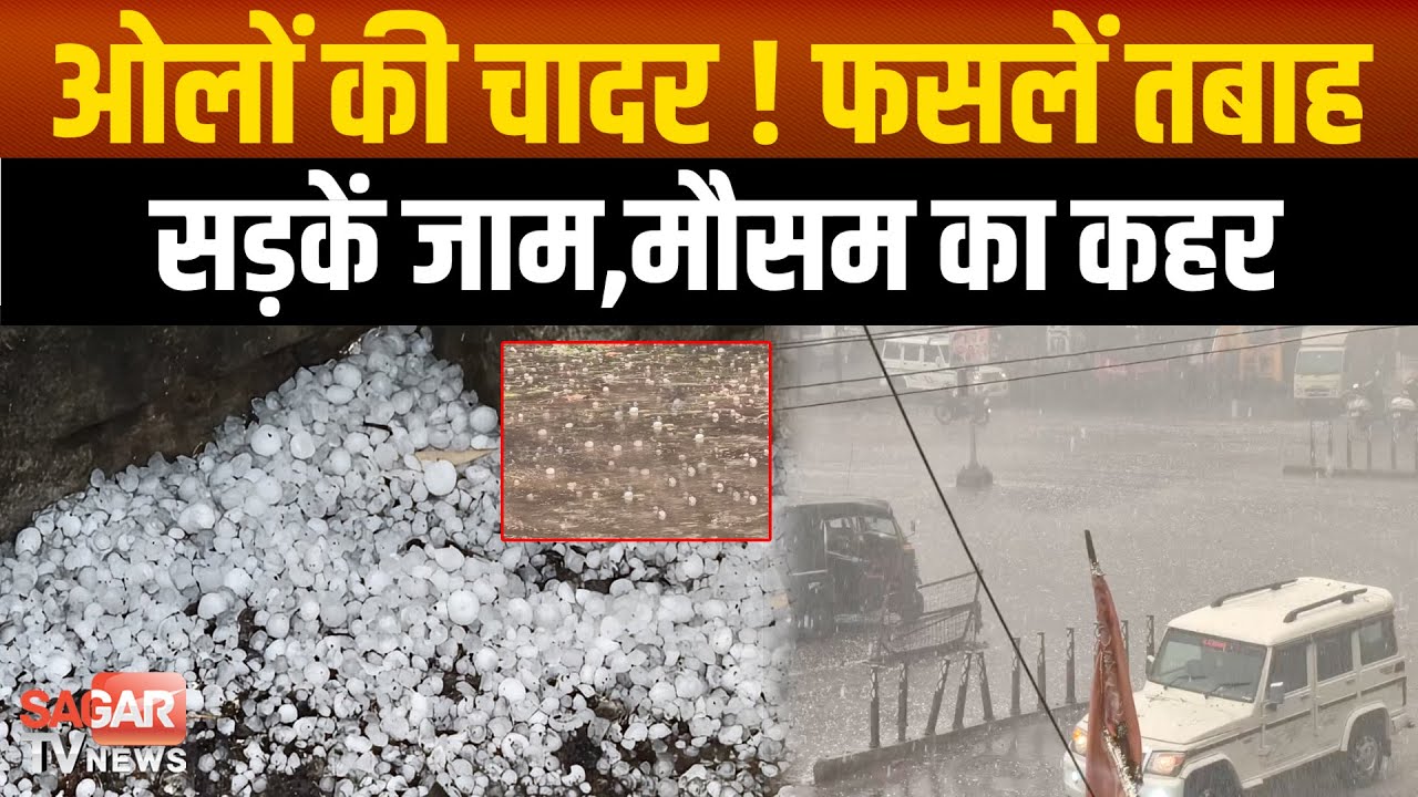 तेज आंधी-तूफान के साथ जमकर ओलावृष्टि, सड़कें बनी शिमला, सैकड़ो एकड़ की फसलें हुई वर्बाद |SAGAR TV NEWS|