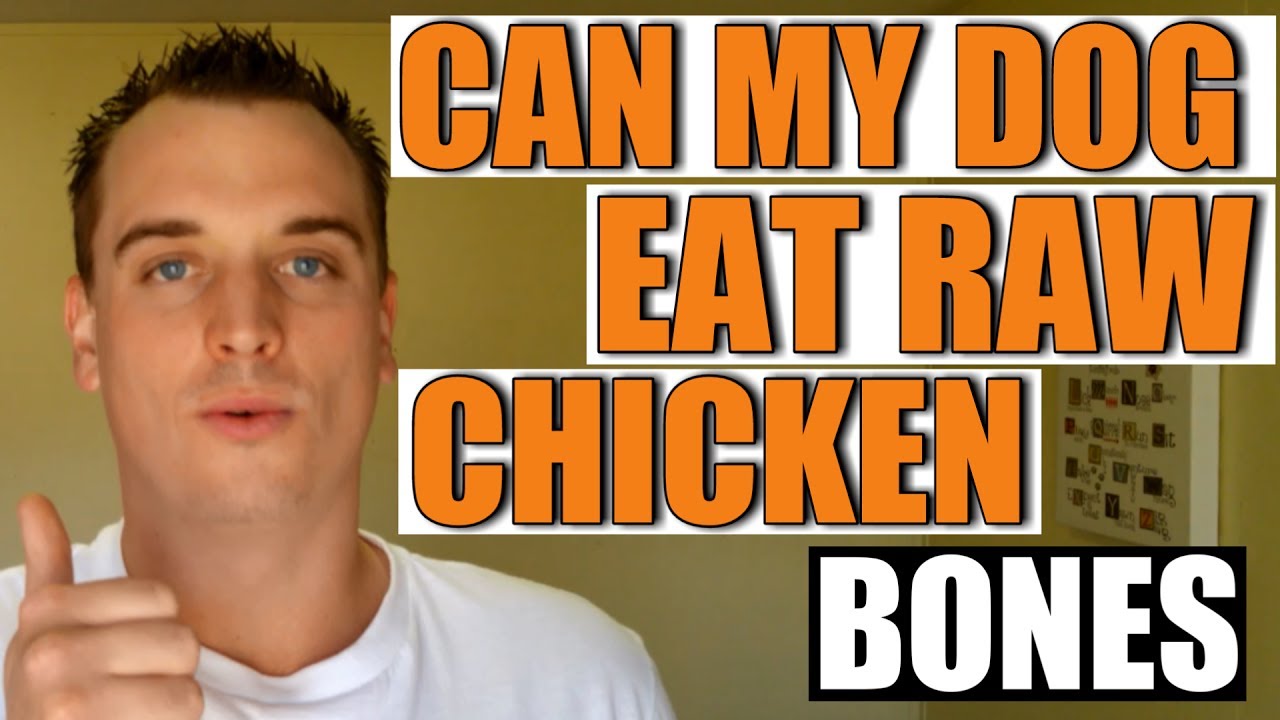 Can My Dog Eat Raw Chicken Bones
