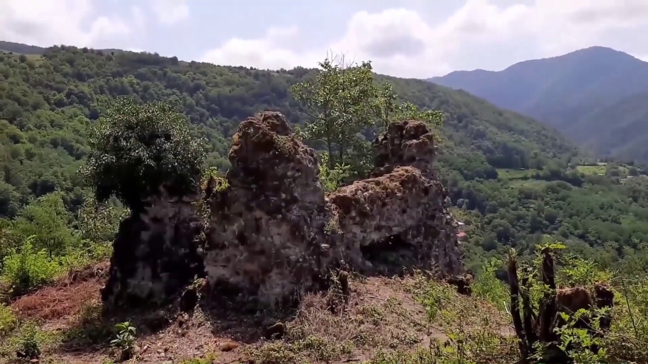 დოკუმენტური ფილმი 