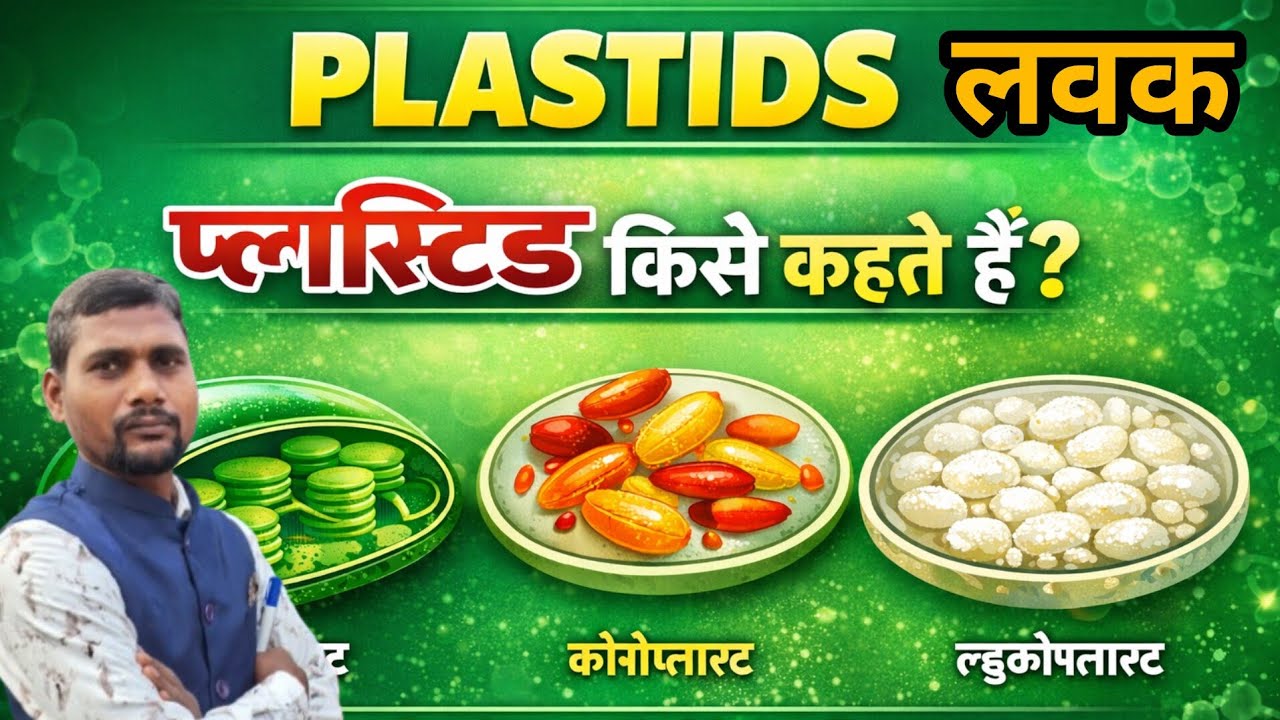  लवक | लवक की खोज | लवक के प्रकार | लवक के कार्य | लवक की संरचना | Plastids | Plastids in हिंदी 