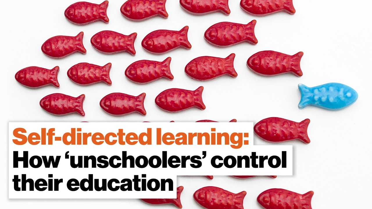 Self-directed learning: How &lsquo;unschoolers&rsquo; control their education | Kerry McDonald