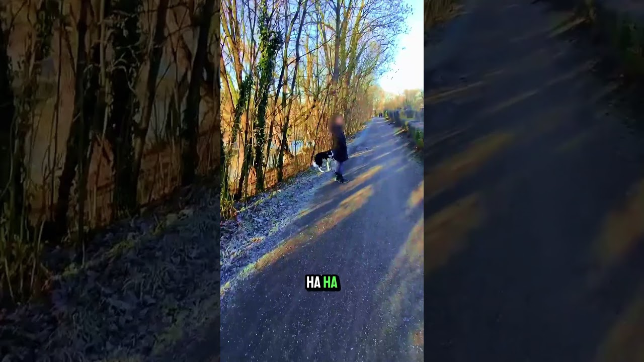Smalltalk mit Hund! 🐾 Tag 17 (Ton-Fail, sorry!) 