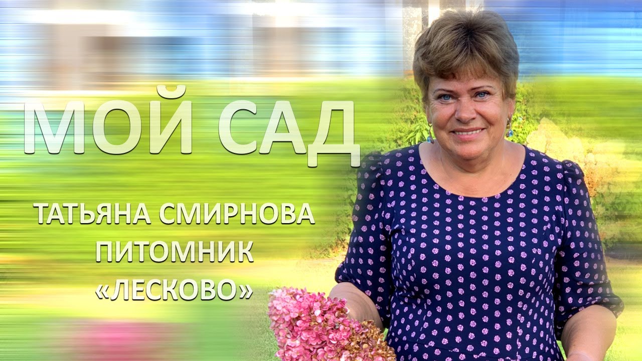МОЙ САД |ПИТОМНИК 