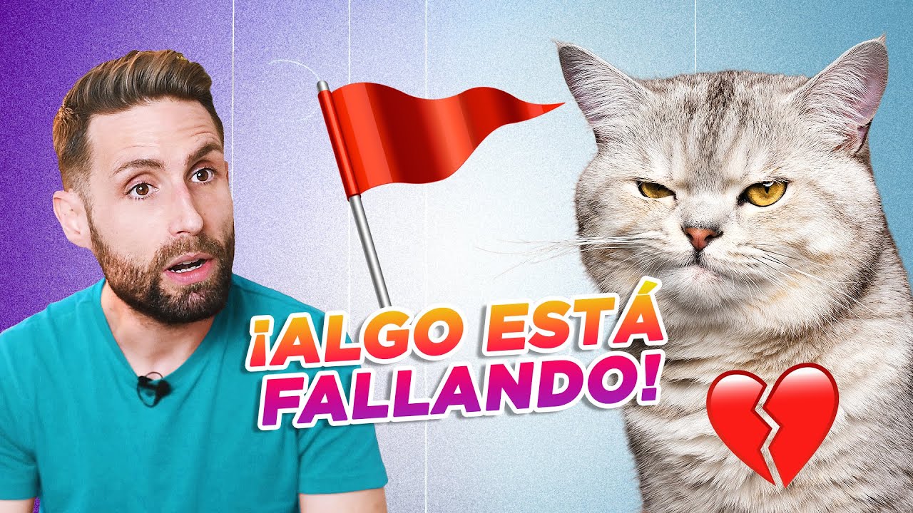 5 SEÑALES 🚩 de que ALGO FALLA EN LA RELACIÓN CON TU GATO 😼💔| De desconfianza a hiperapego con gatos
