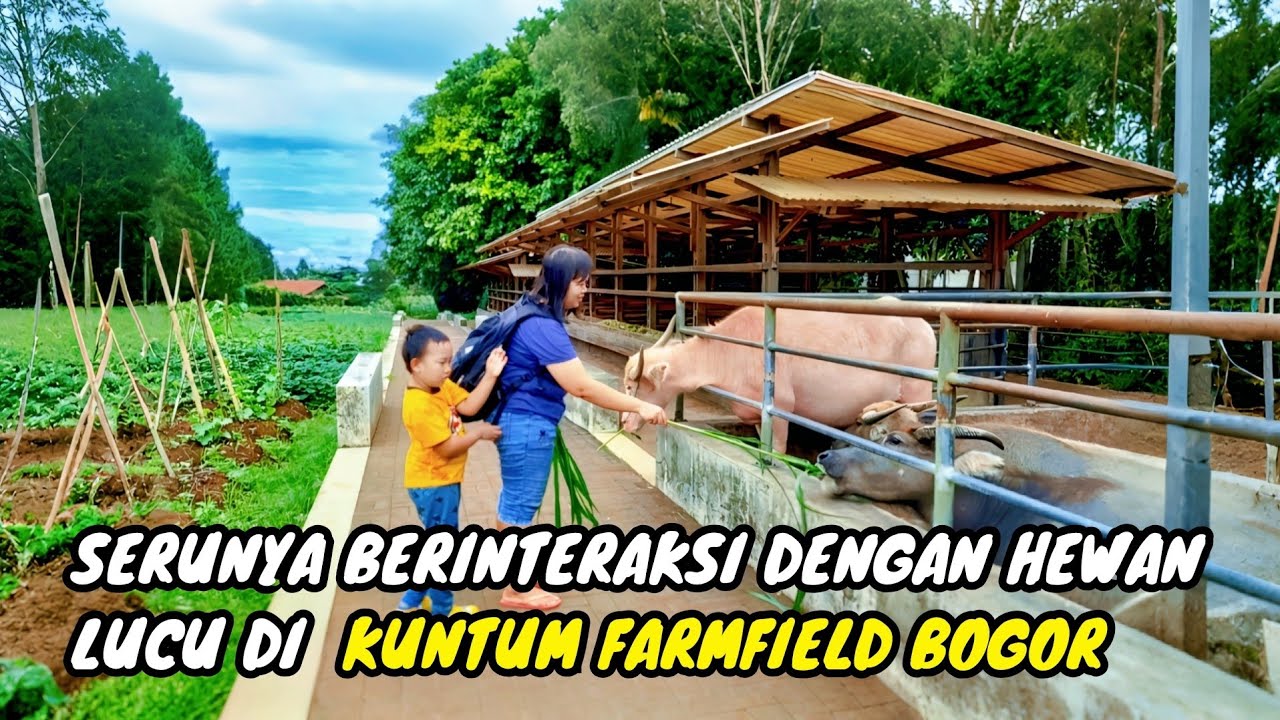 Bikin Anak Happy Belajar Alam dan Hewan-Hewan Menggemaskan di Kuntum Farmfield Bogor
