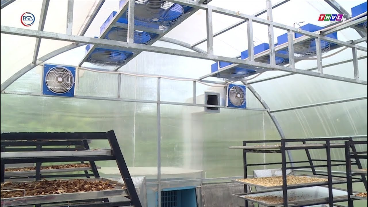 Sấy bằng năng lượng mặt trời - lợi về kinh tế, đảm bảo chất lượng I BSA Channel