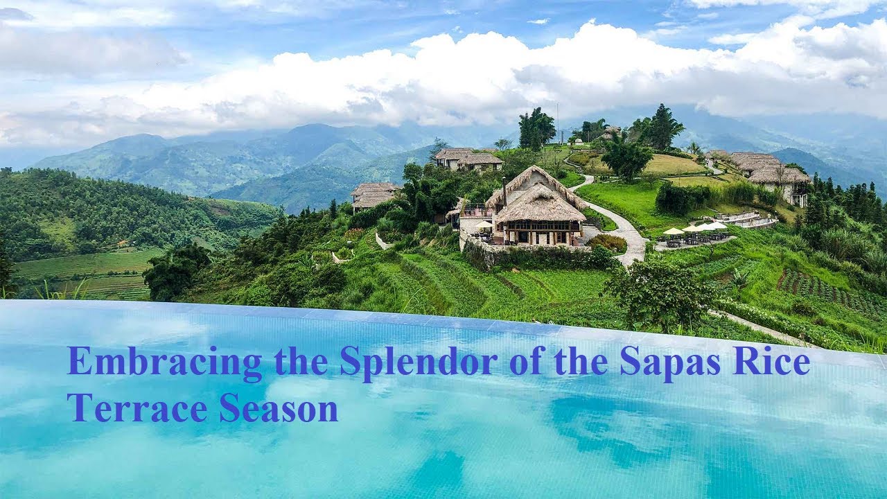 Embracing the Splendor of the Sapas Rice Terrace Season