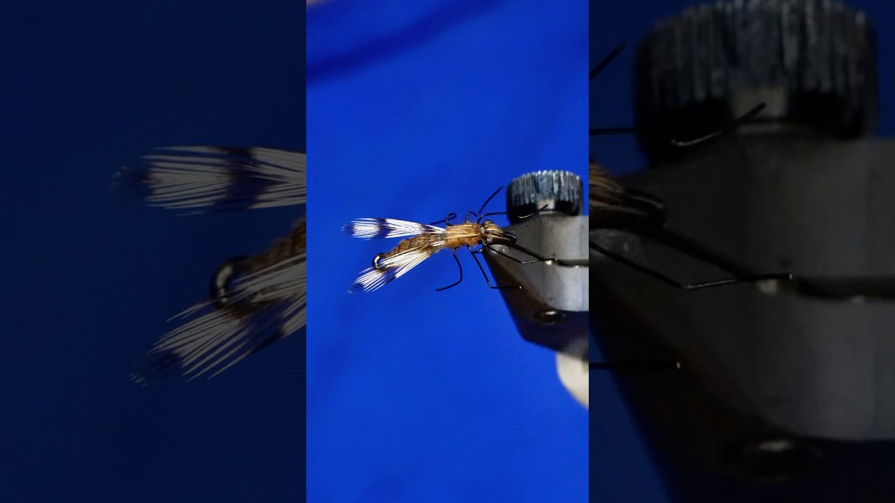 VERY realistic mosquito fly pattern