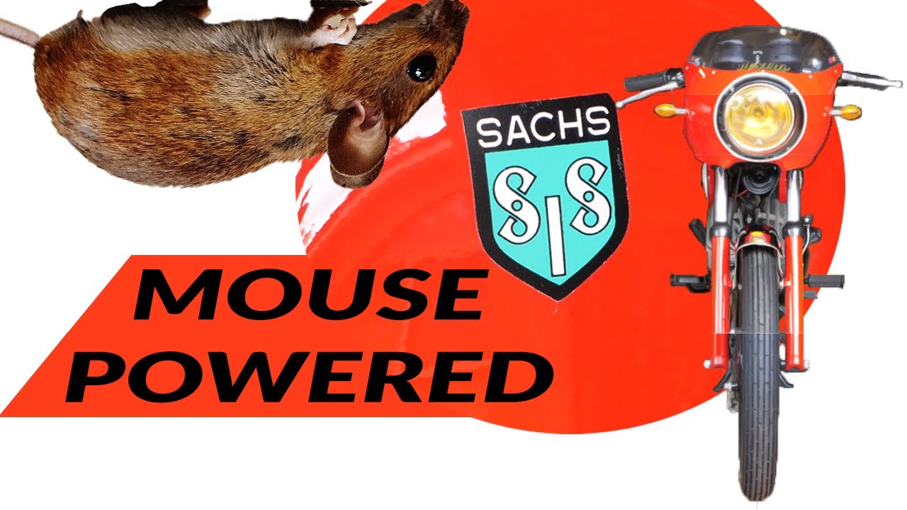 SIS V5 Sachs - The Portuguese Mouse that Roars!
