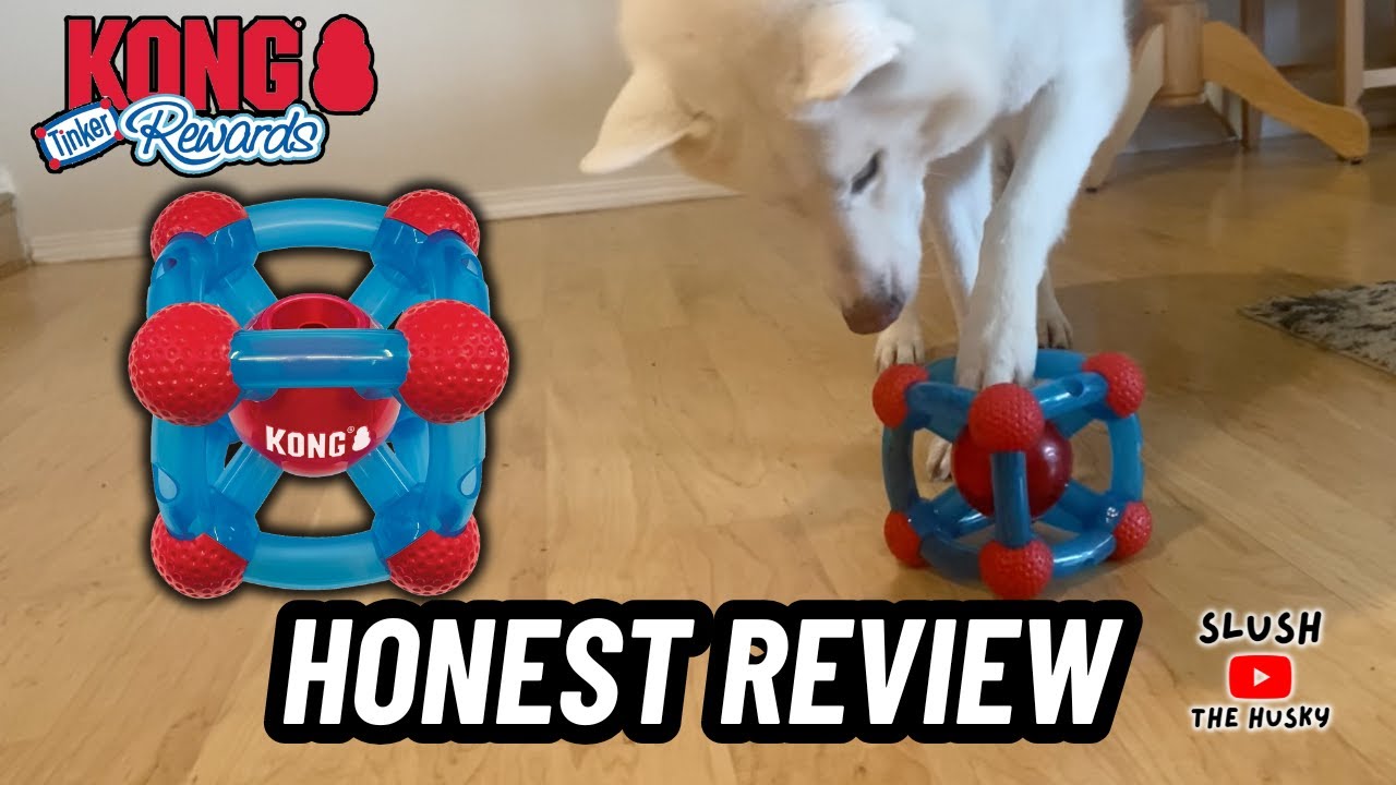 Kong Rewards Tinker Treat Dispenser Review | Is It Worth It?