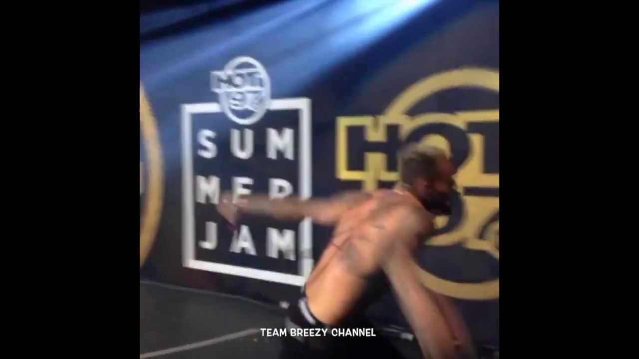Chris Brown  - Summer Jam 2017 | DMX , Asap Rocky     | Privacy , Party , Poppin