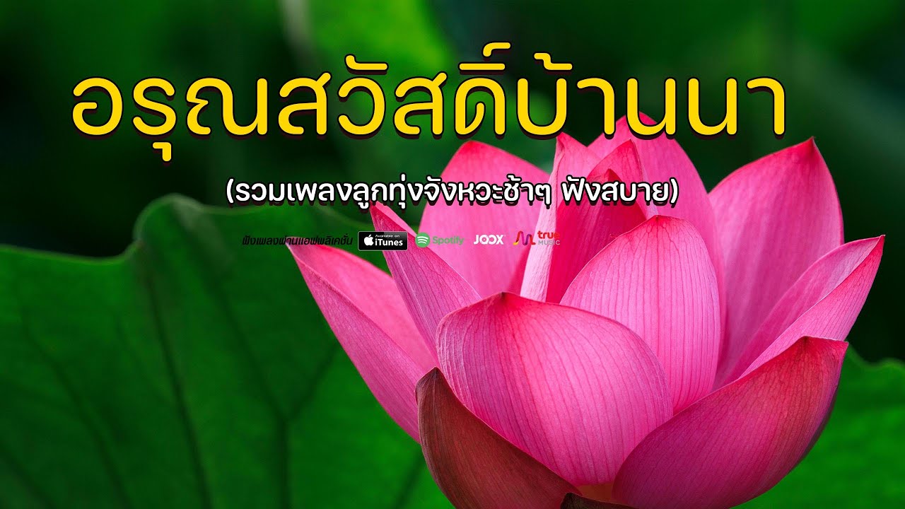 รุ่งอรุณเพลงหวาน  -   รวมเพลงลูกทุ่งเพราะต่อเนื่อง