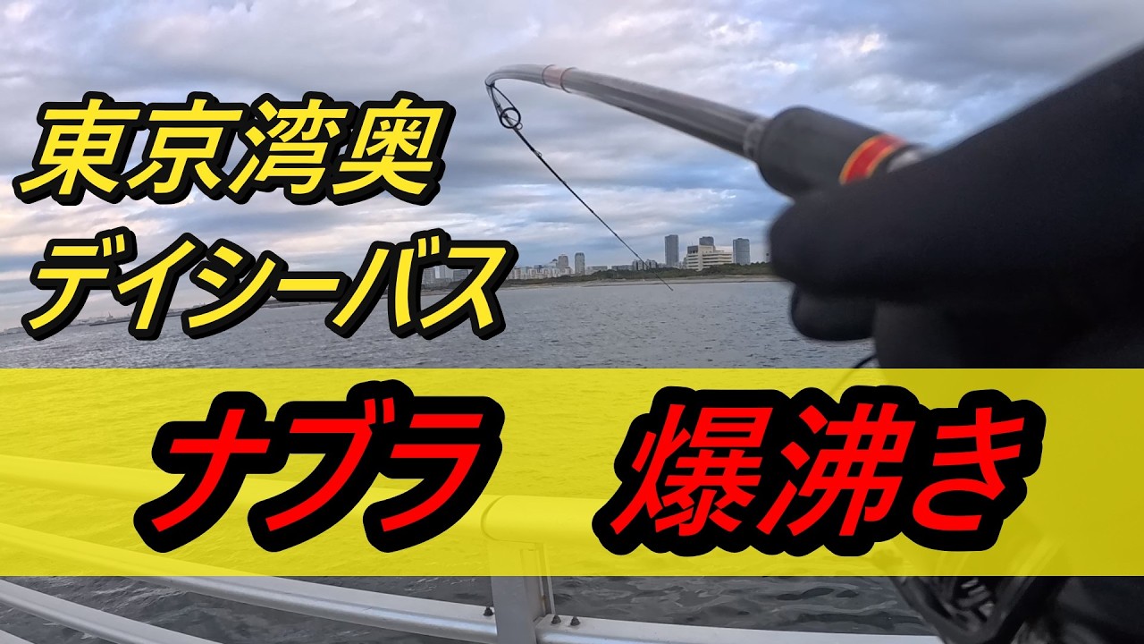 【東京湾奥】3月初旬でナブラ爆沸き？！冬のデイシーバス