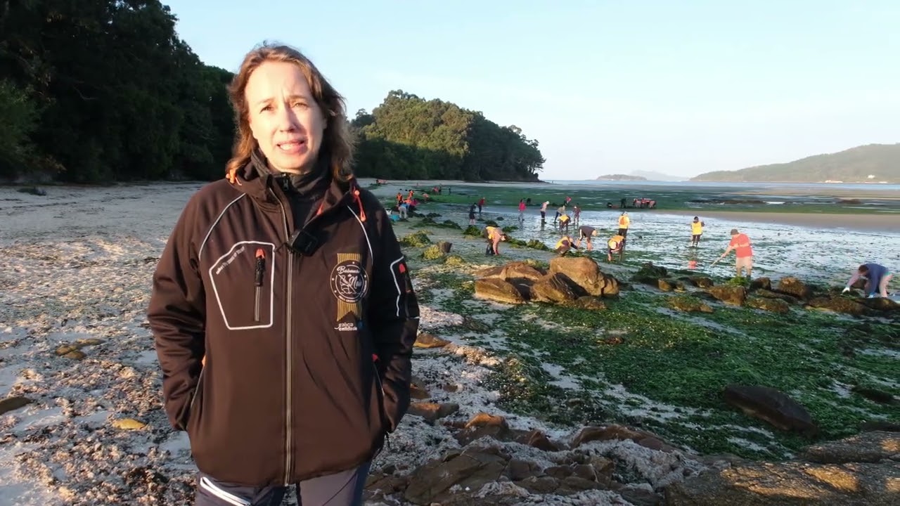 Econoia 5: Limpeza de algas verdes nos bancos marisqueiros de Testal e Broña. 5 de setembro de 2025