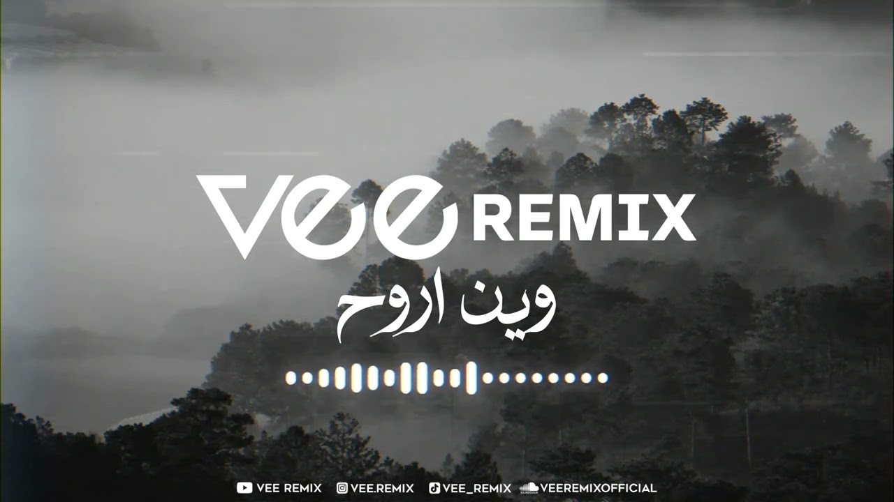 ميني مكس وين اروح | Vee Remix