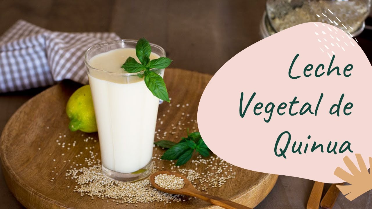Leche de quinua - Fácil y Nutritiva