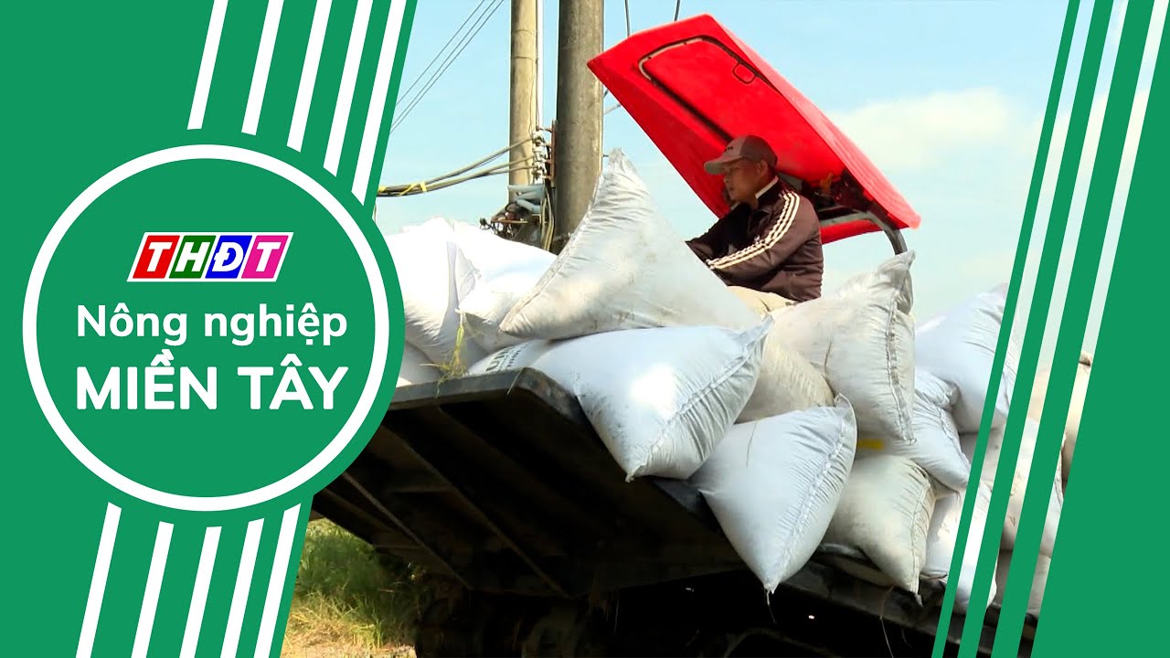 Toàn cảnh Nông nghiệp - 22/1/2026 | Nông nghiệp Miền Tây