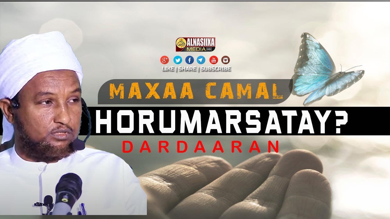 DARDAARAN | MAXAA CAMAL AAD HORUMARSATAY ? ⁴ᴷ┇ Sh. Xuseen Ali Jabuuti