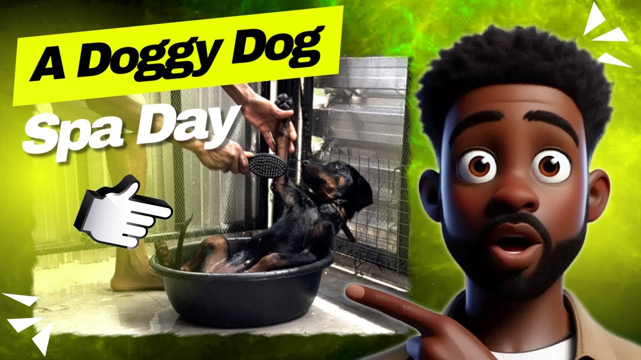 It's a Doggy Dog Spa Day