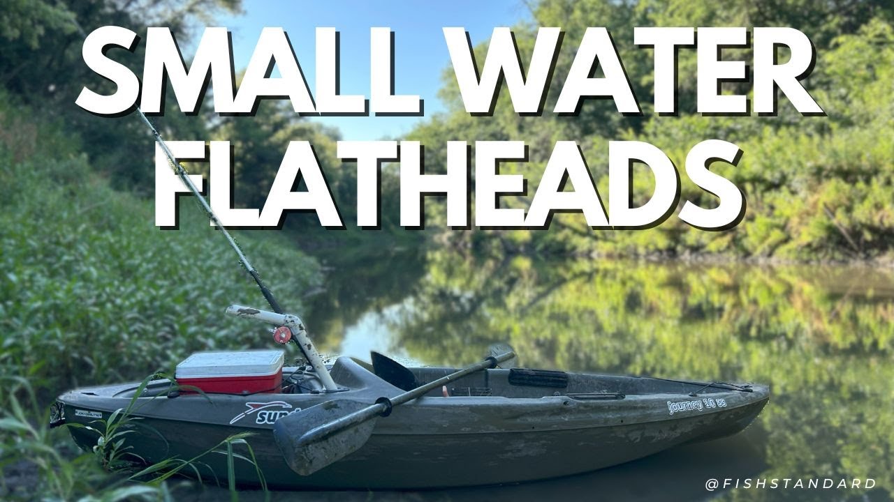 SMALL River Yields BIG Catfish | REAL Flathead Catch Footage
