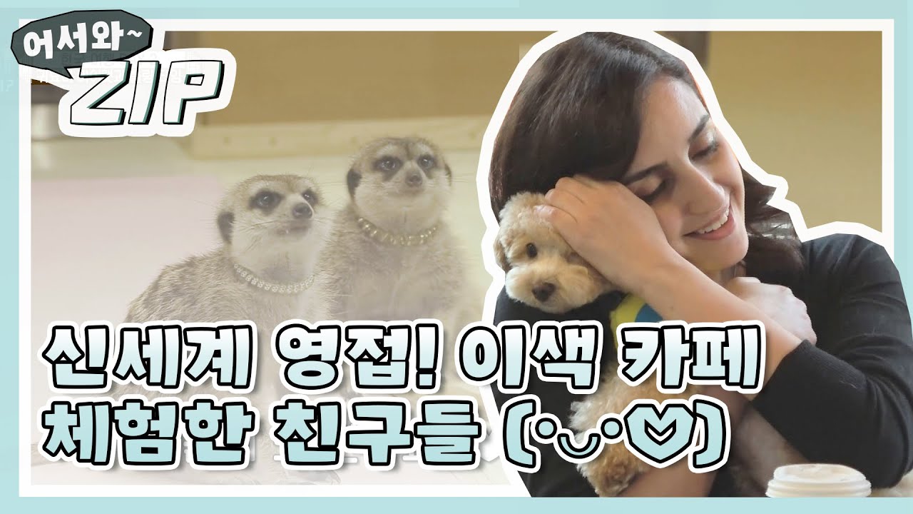 [어서와ZIP] 신세계 영접! 이색 카페 체험한 친구들 (•ᴗ•♡) l #어서와한국은처음이지 l EP.65,67