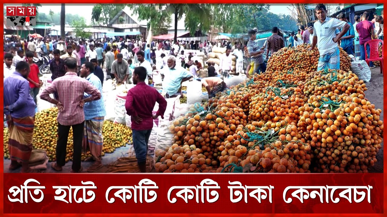 পঞ্চগড়ে ১৫০ কোটি টাকার সুপারির বাজার | Panchagarh News | Betel Nut Price | Business | Somoy TV
