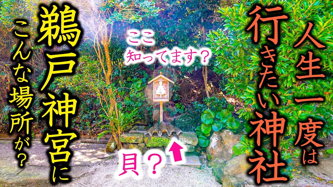 ⚠️#九州最強  【鵜戸神宮】一角にこんな聖地があったとは…