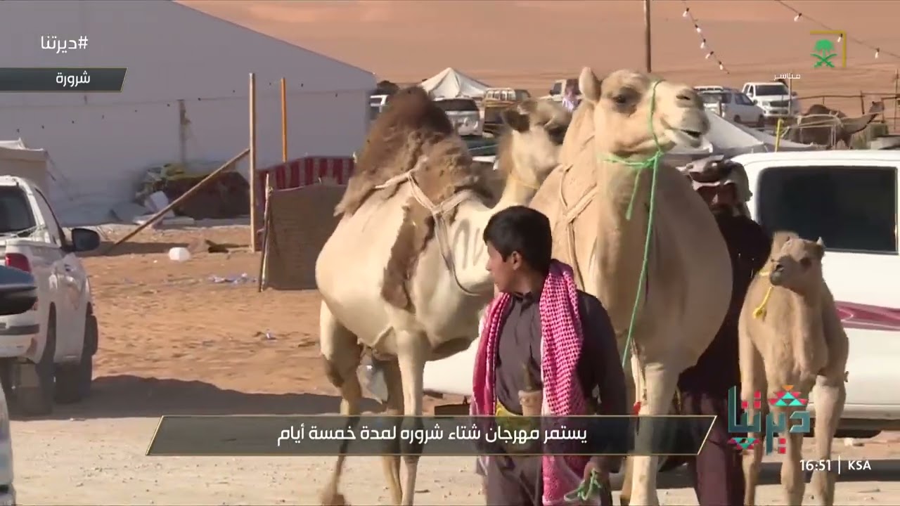 ديرتنا | فعاليات مهرجان شرورة الشتوي بنجران